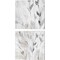 Gray Misty Leaves Square by Lanie Loreth 14" x 14" Canvas Wall Art (Set of 2)